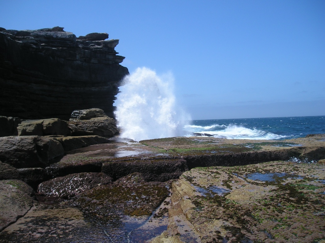 P1010052