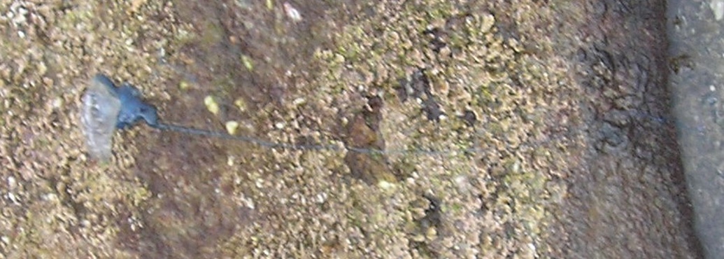 P1010147_1